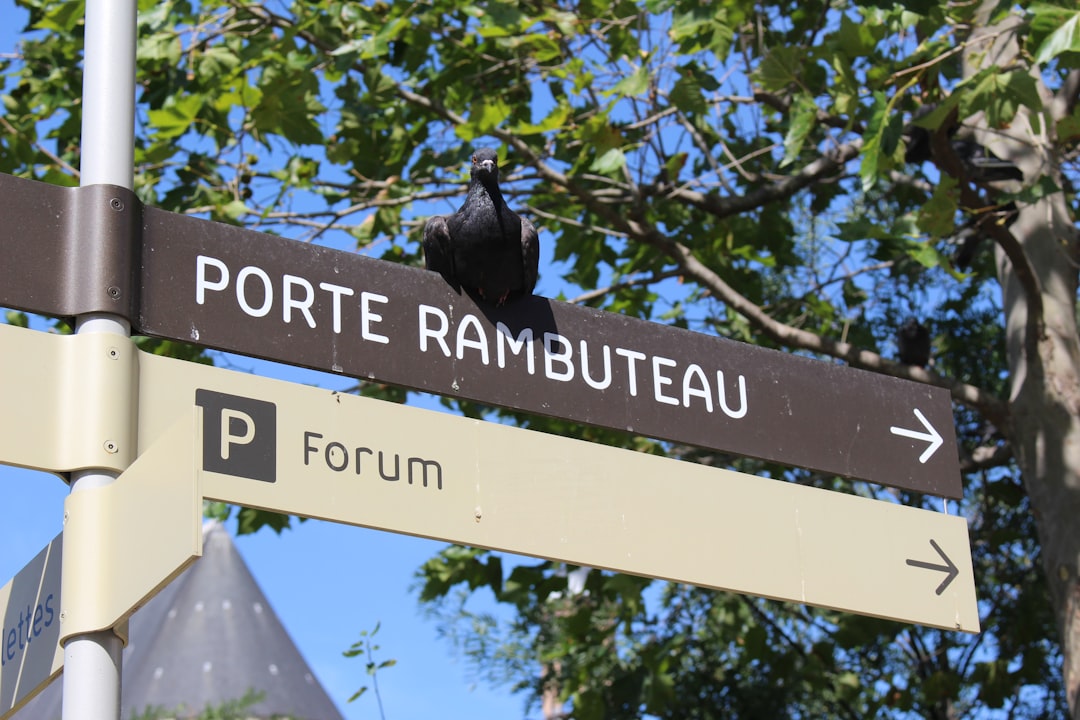Pourquoi la donnée terrain est stratégique pour un laboratoire pharmaceutique black crow on blue wooden signage
