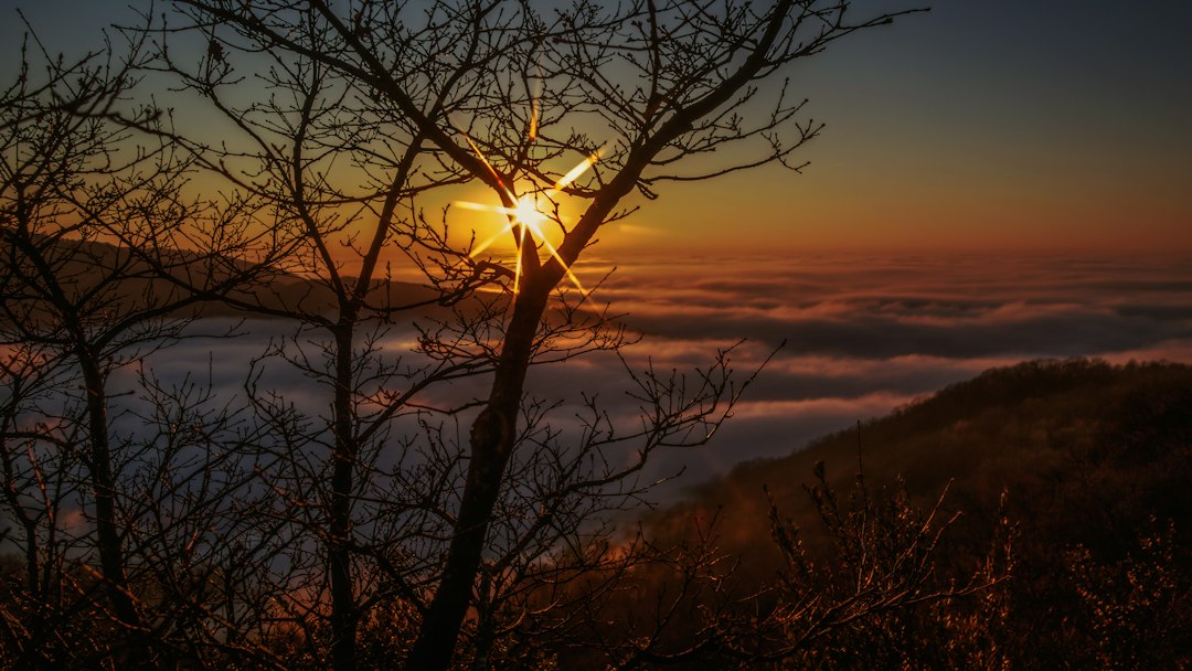 Taux de couverture médecins : comment un CRM pharma l'améliore The sun is setting over the clouds in the sky